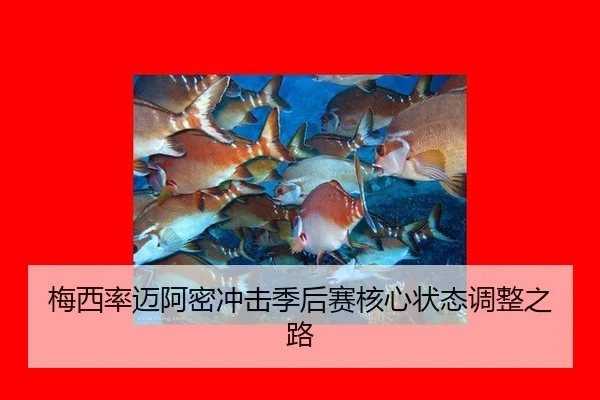 mei-xi-lv-mai-a-mi-chong-ji-ji-hou-sai-he-xin-zhuang-tai-tiao-zheng-zhi-lu-2-810.jpg